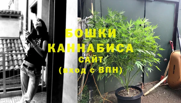 винт Лагань