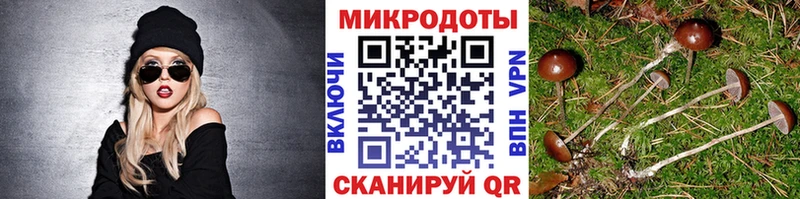 купить наркоту  OMG сайт  Псилоцибиновые грибы Magic Shrooms  Апшеронск 